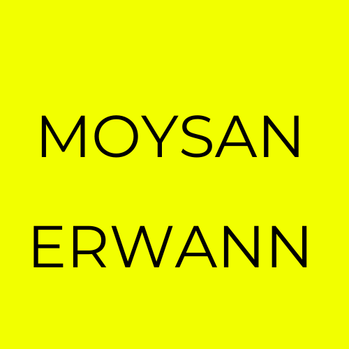 Moysan Erwann Expert