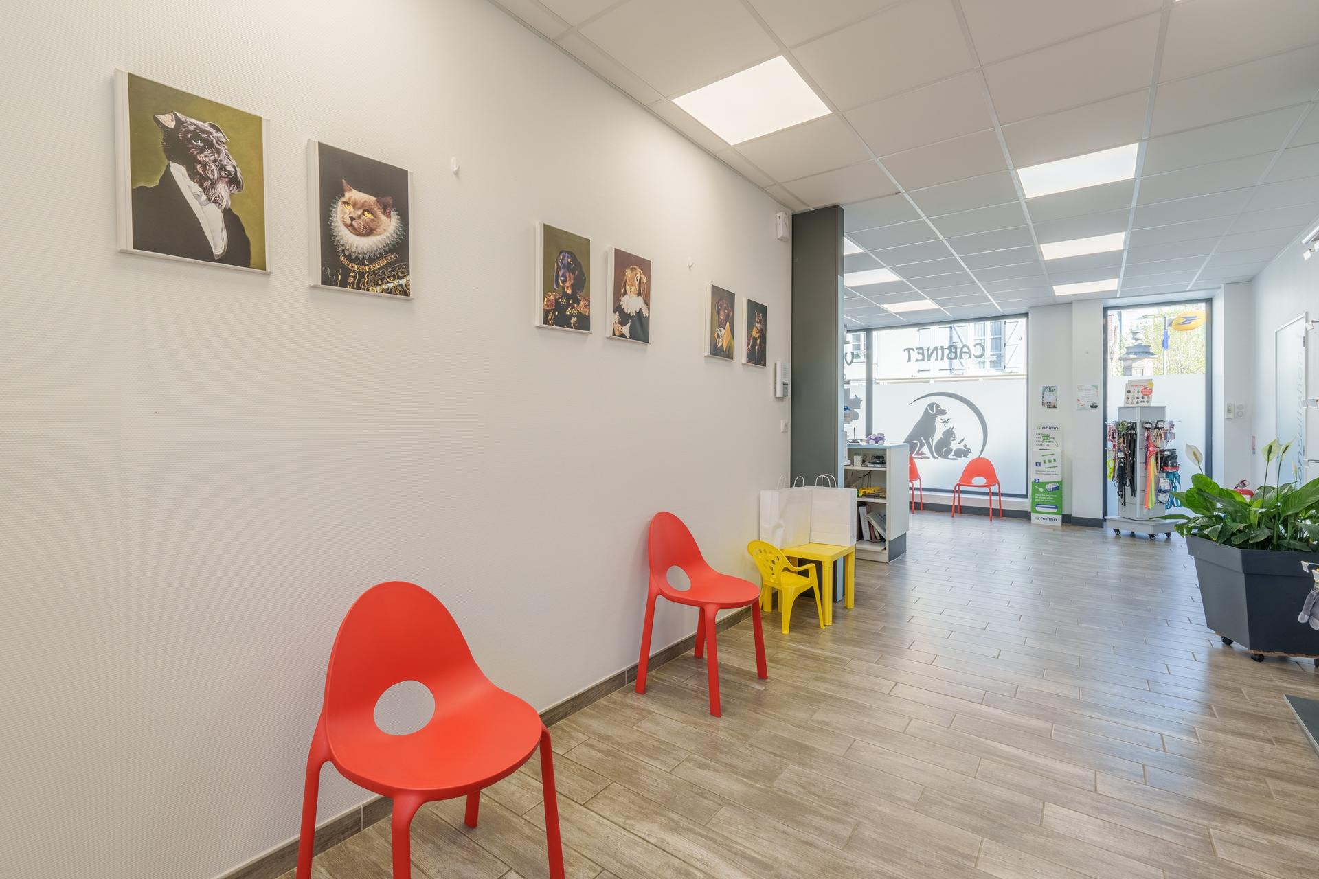 galerie image