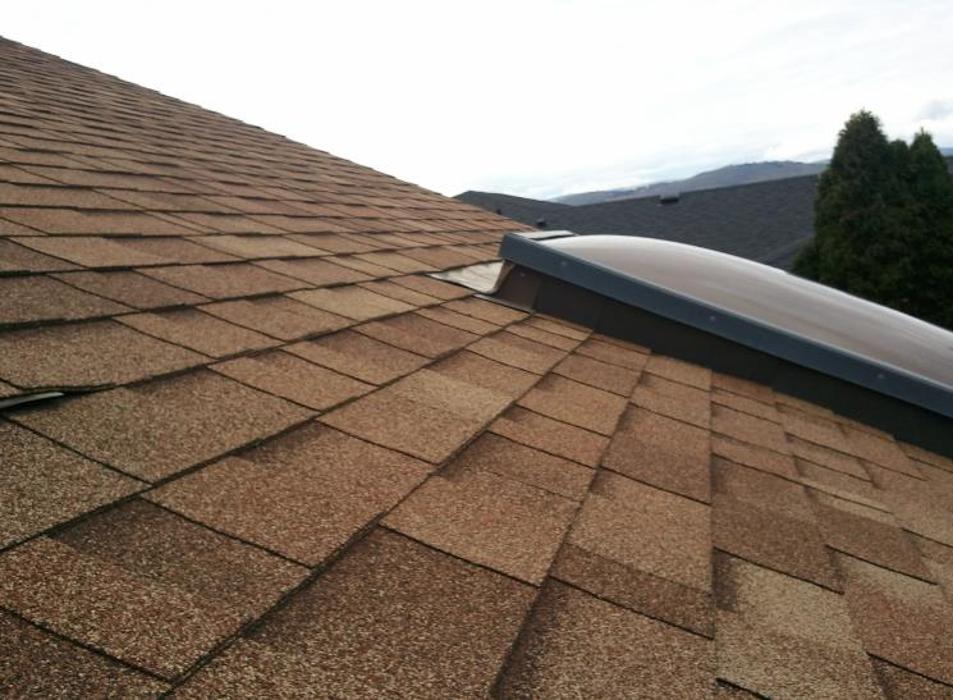 Rainshield Roofing & Remodeling - Spring, TX