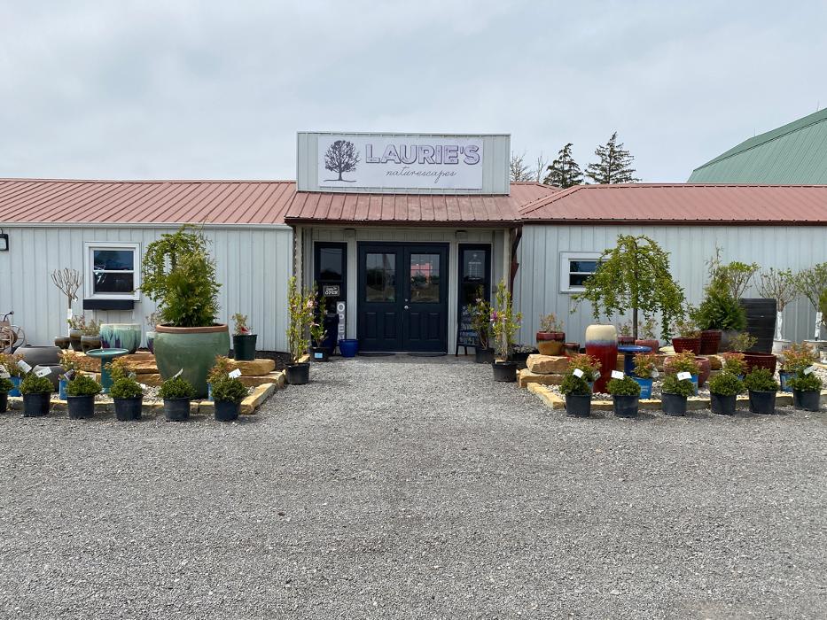 Laurie's Naturescapes Image