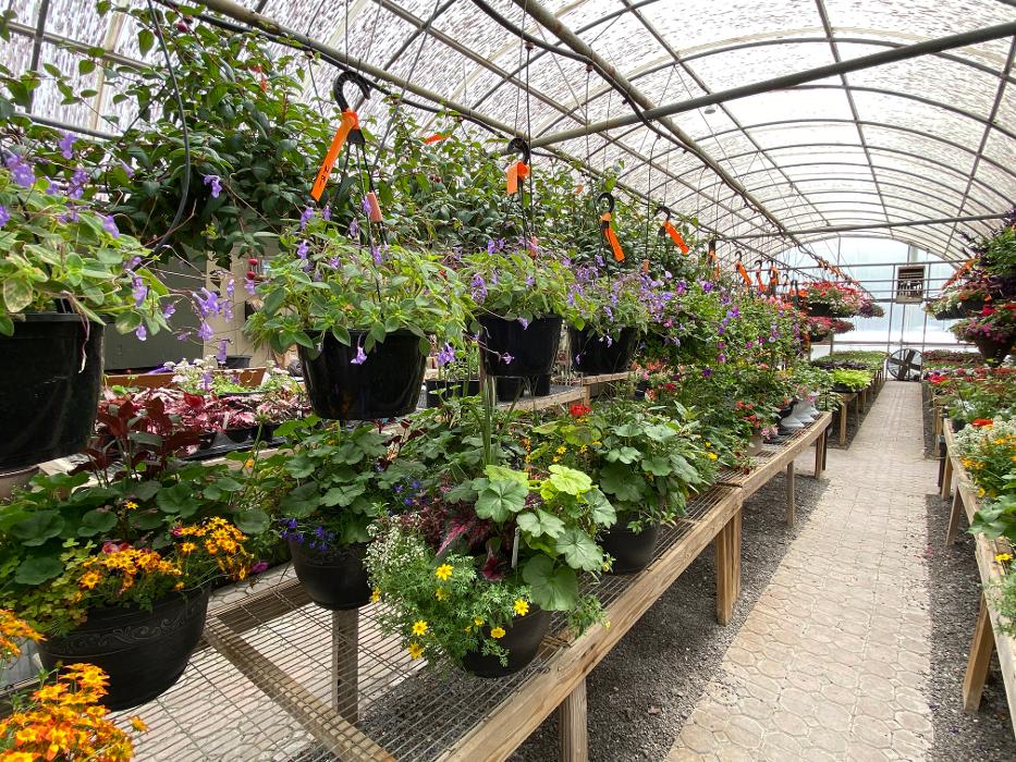 Laurie's Naturescapes Image