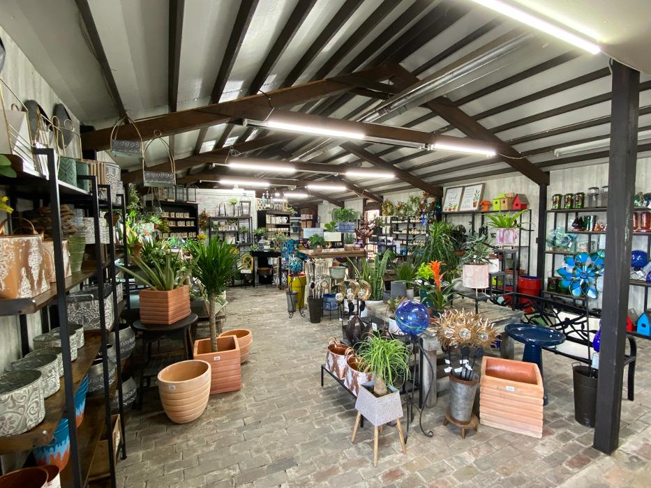 Laurie's Naturescapes Image