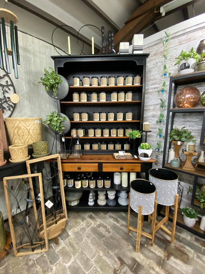 Laurie's Naturescapes Image