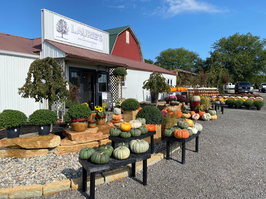 Laurie's Naturescapes Image