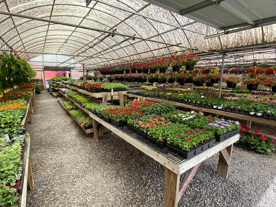 Laurie's Naturescapes Image