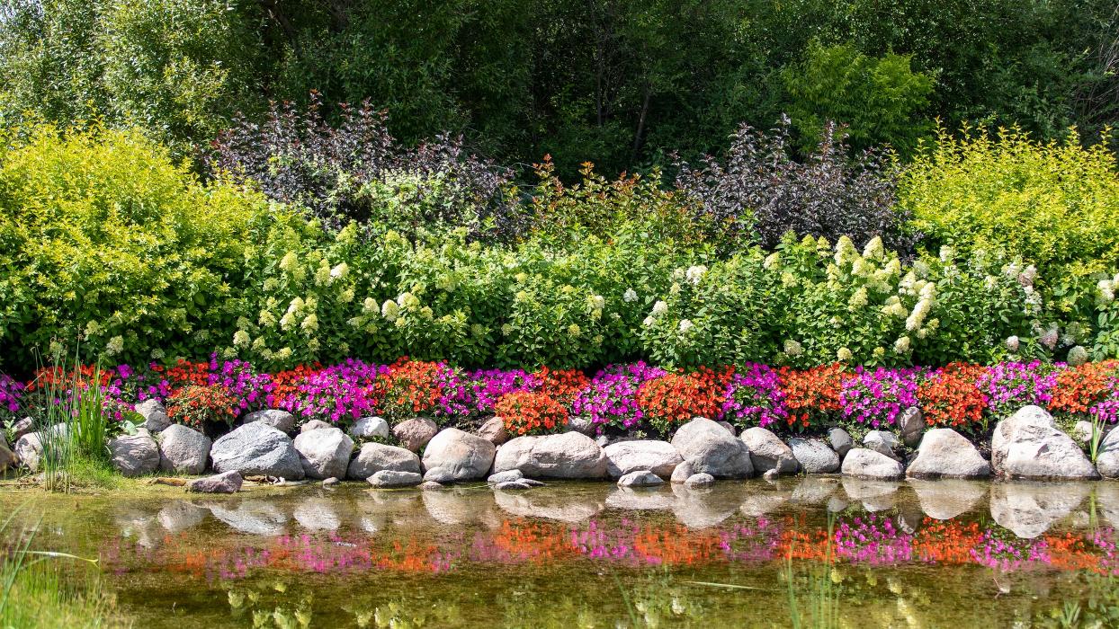 Concierge Medicine of Westlake - Westlake, OH