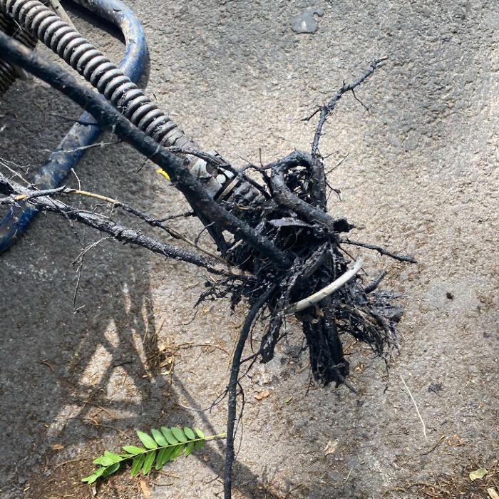 Chicago Drain Tech - Summit Argo, IL