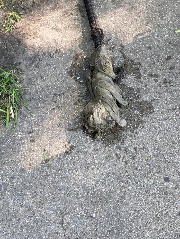 Chicago Drain Tech - Summit Argo, IL