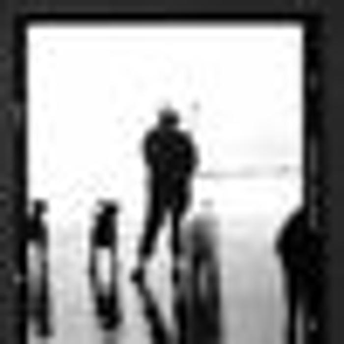 Dog Park Ready Family Dog Training LLC - Atlanta, GA