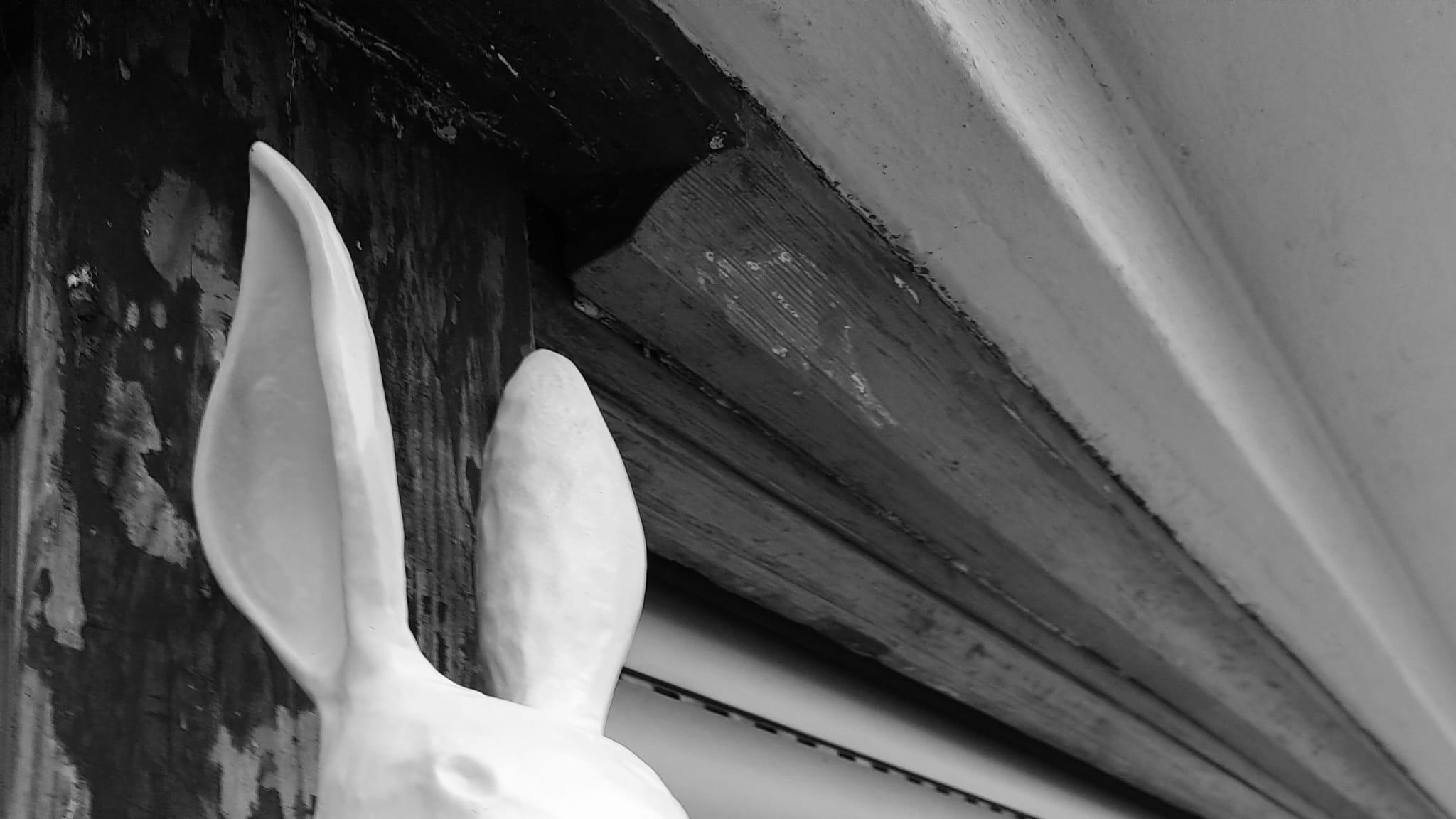 Mein Freund Harvey, Kulmer Straße in Berlin