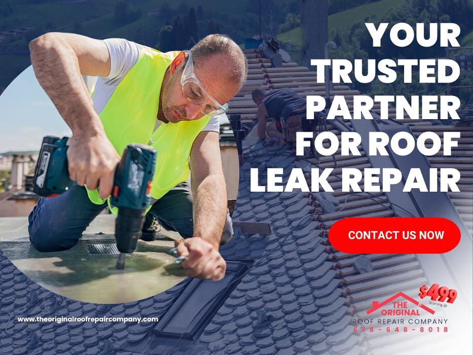 The Original Roof Repair Company - Canton, GA