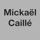 Caillé Mickaël peinture et vernis (détail)