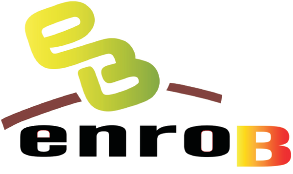 ENRO'B SARL entreprise de bâtiment