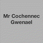 Cochennec Gwenaël Expert