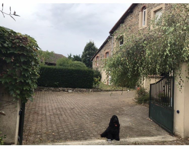 galerie image
