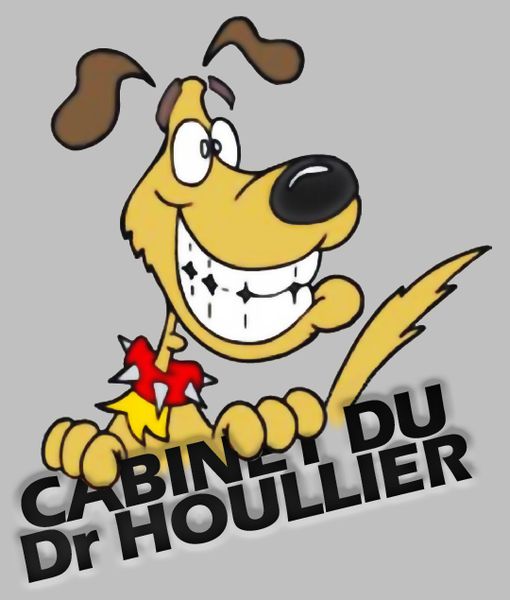 Cabinet d'Othodontie du Dr Stéphane Houllier