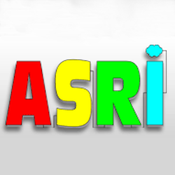ASRI Audits Services et Réseaux Informatiques Autres services