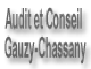 Audit Et Conseil Gauzy