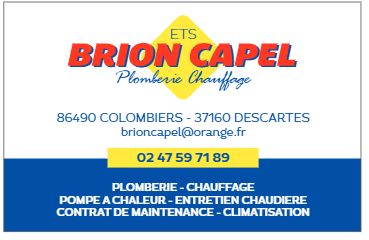 Brion-Capel Expert