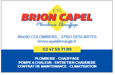 Brion-Capel Expert