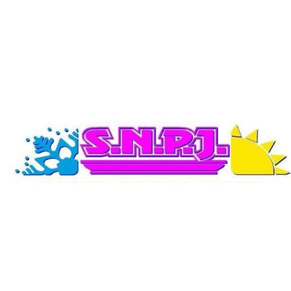 Snpj SARL Expert