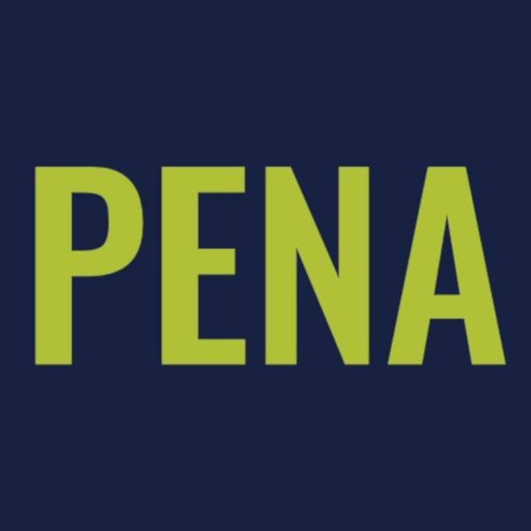 Pena Serrurerie porte et portail