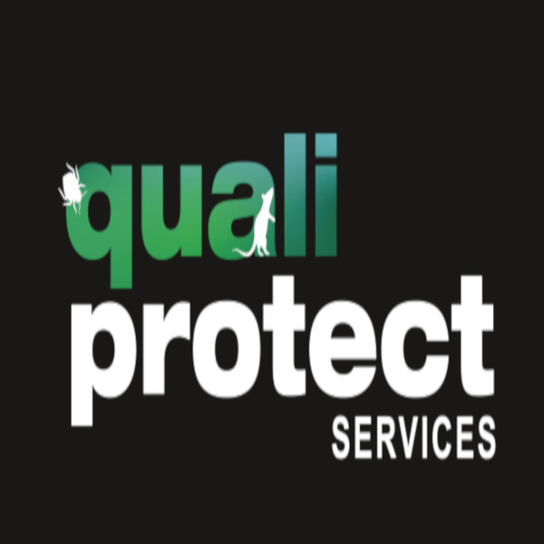 Quali Protect Services vidange et curage