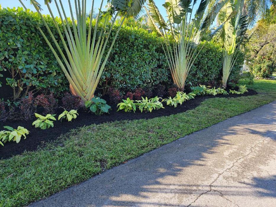 T the Lawn Care - Pompano Beach, FL