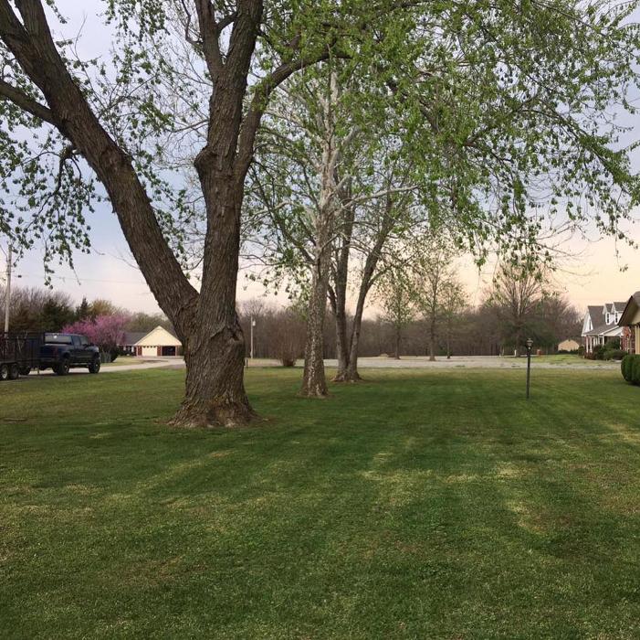 JP Tree Care - Tulsa, OK