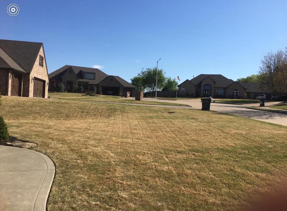 JP Tree Care - Tulsa, OK