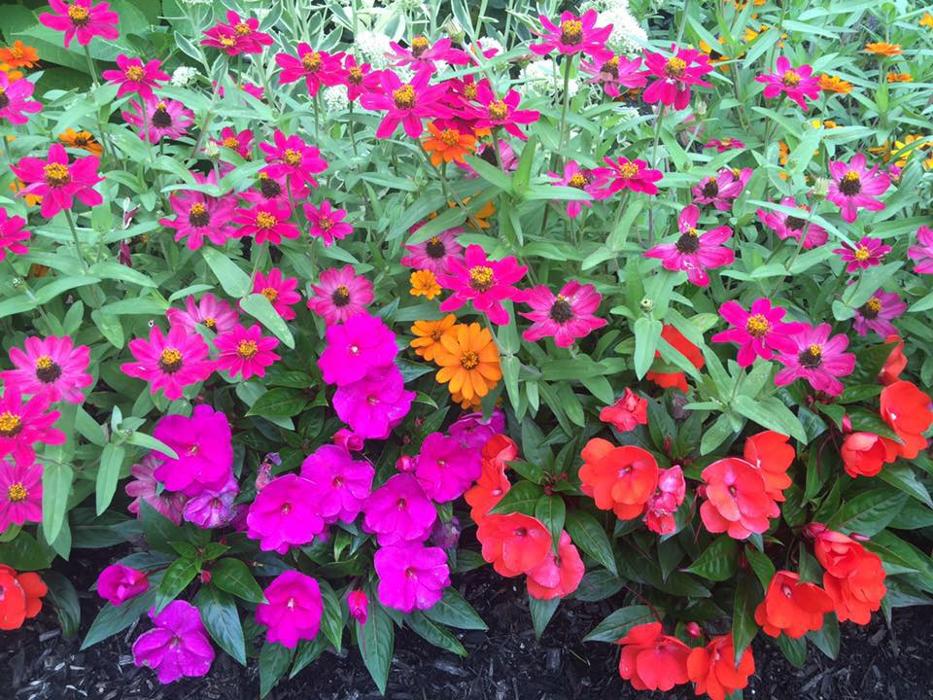 Landscapes by the Yard - Columbus, OH