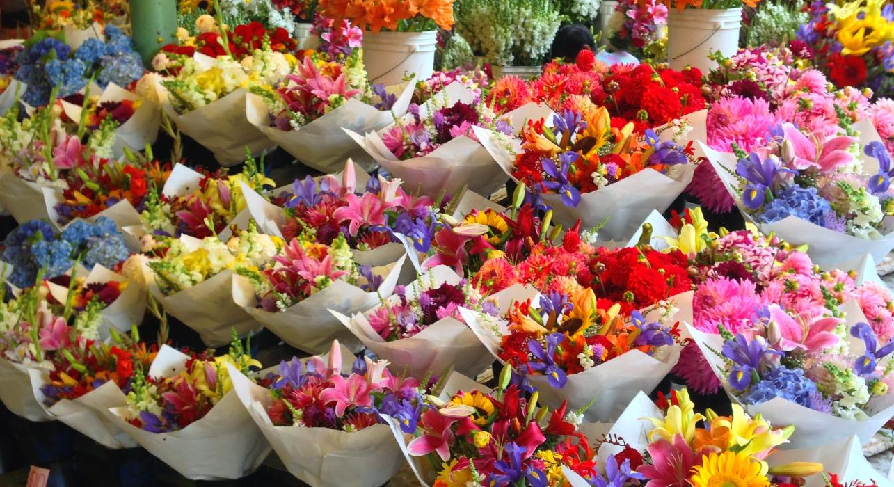 Lehrer's Flowers Image