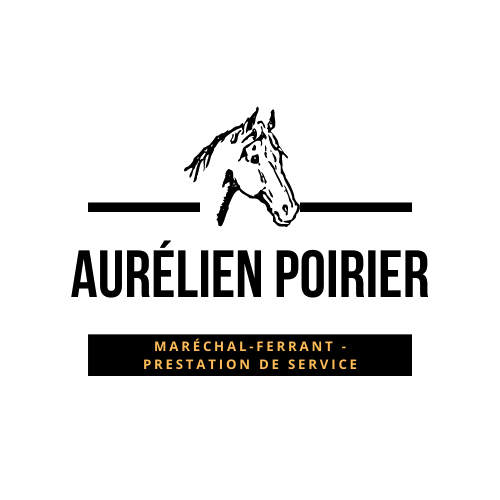 Aurélien Poirier Expert