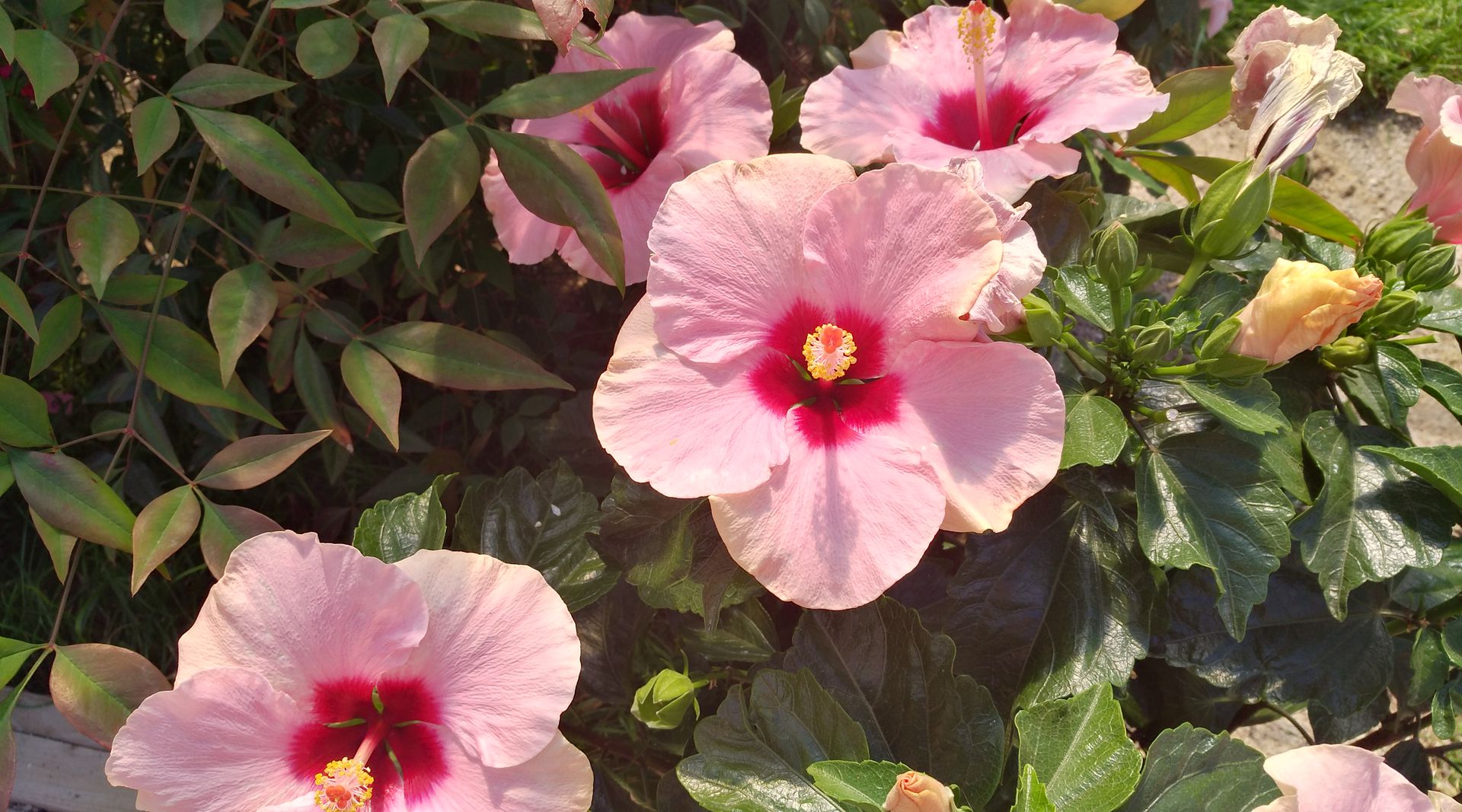 galerie image galerie image