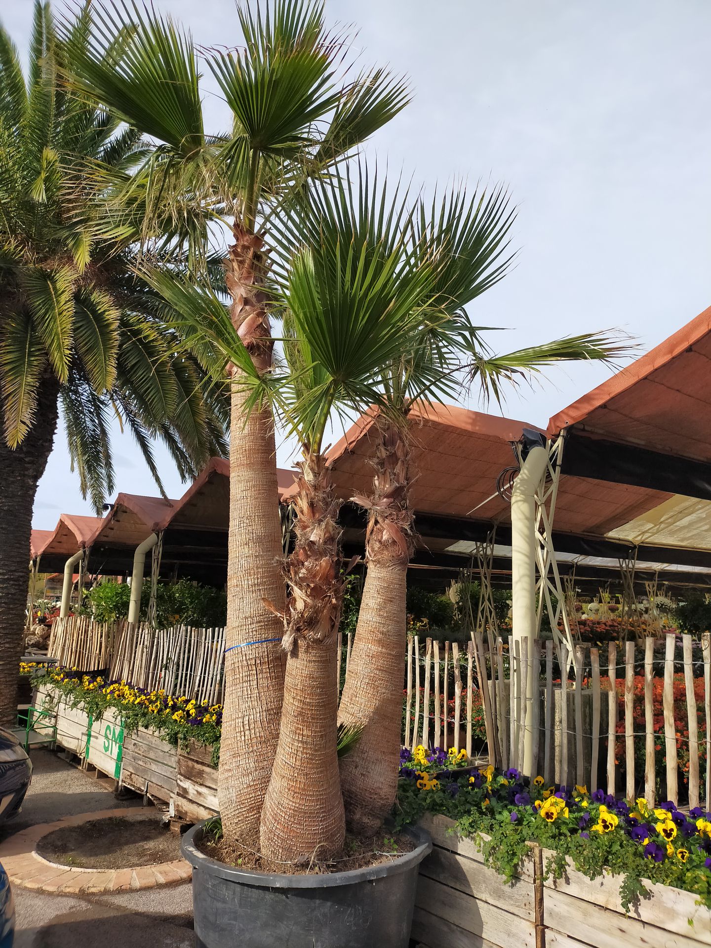 galerie image galerie image