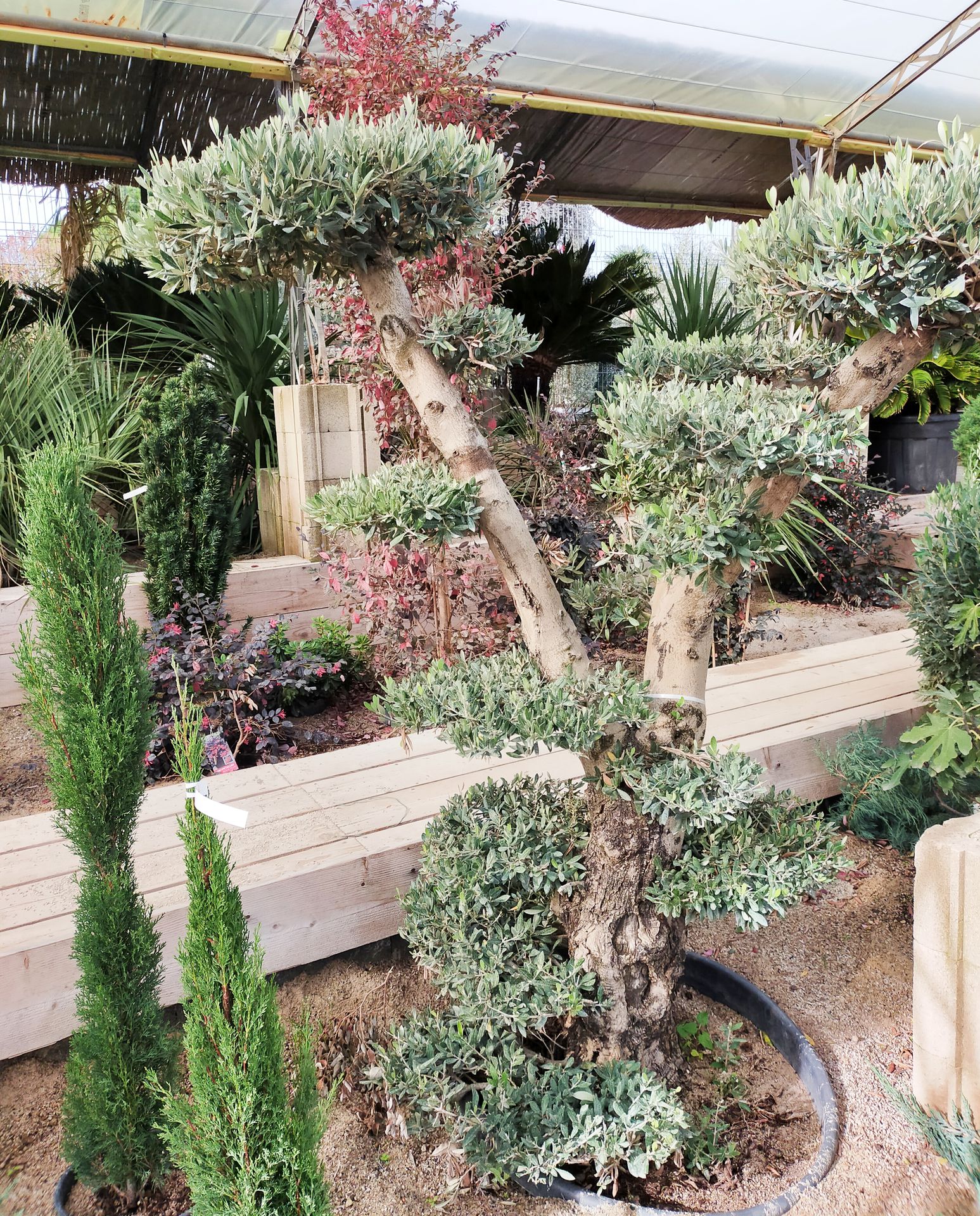 galerie image galerie image