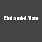Chibaudel Alain peinture et vernis (détail)