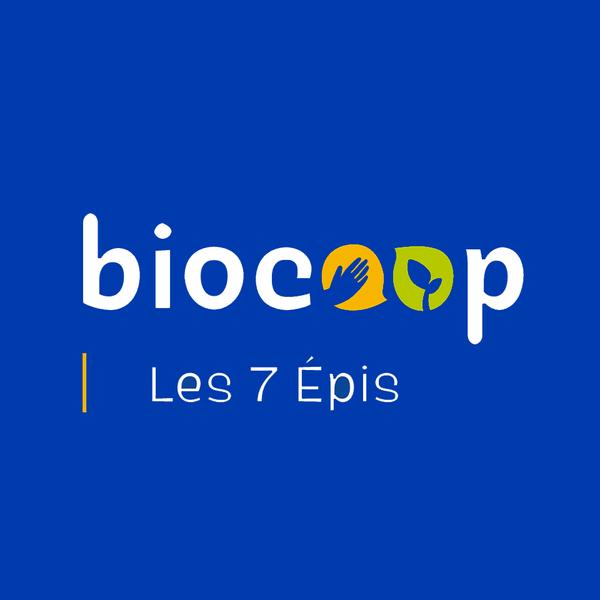 Biocoop Les 7 Epis Larmor Plage