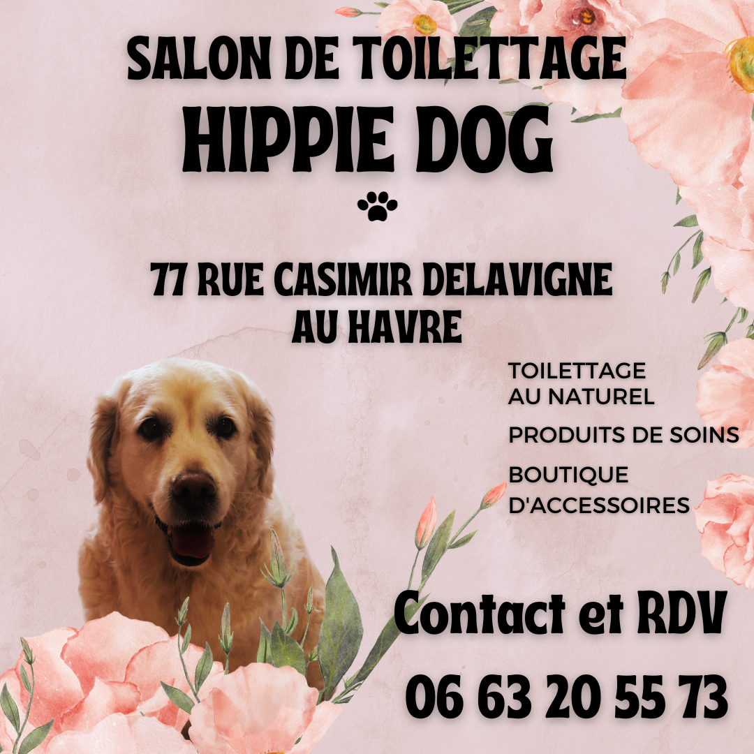 HIPPIE DOG - TOILETTAGE AU NATUREL toilettage de chien et chat
