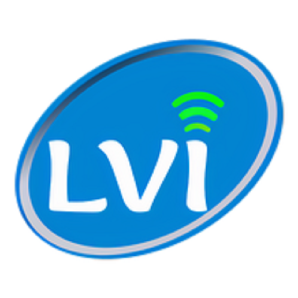 LV Informatique réparation et restauration (objets divers)