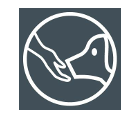 Education Canine Matthieu Gavardin dressage animal