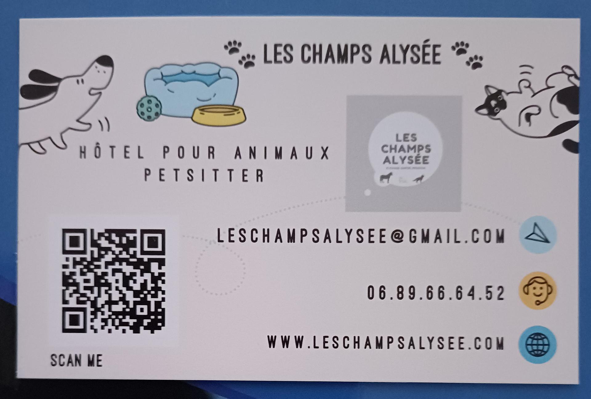 galerie image galerie image