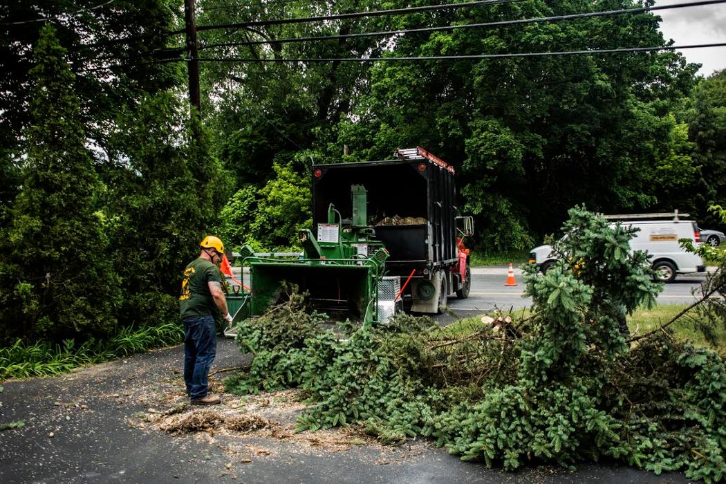 Anjoe Tree Service - Albany, NY