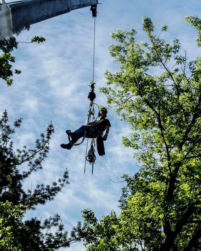 Anjoe Tree Service - Albany, NY