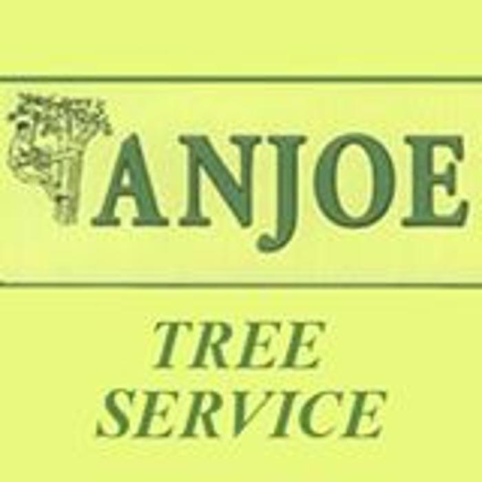 Anjoe Tree Service - Albany, NY