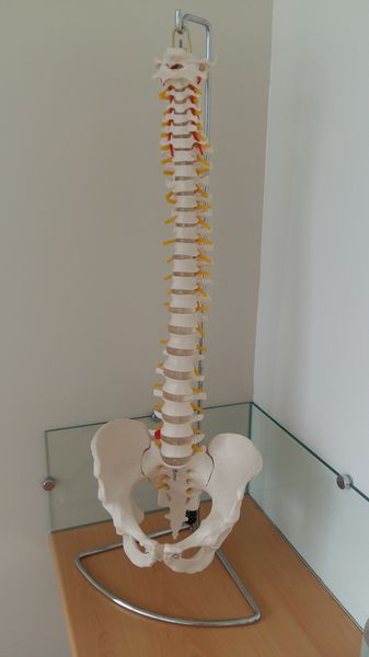 Reynes Lauriane ostéopathe