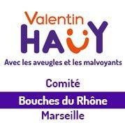 Association Valentin Haüy pour le Bien des Aveugles organisation internationale