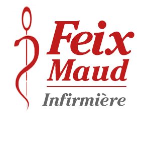 Feix Maud Etablissements de soins, services de la Santé