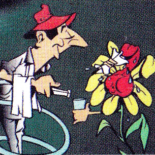 Cortez Jean-Pascal Expert