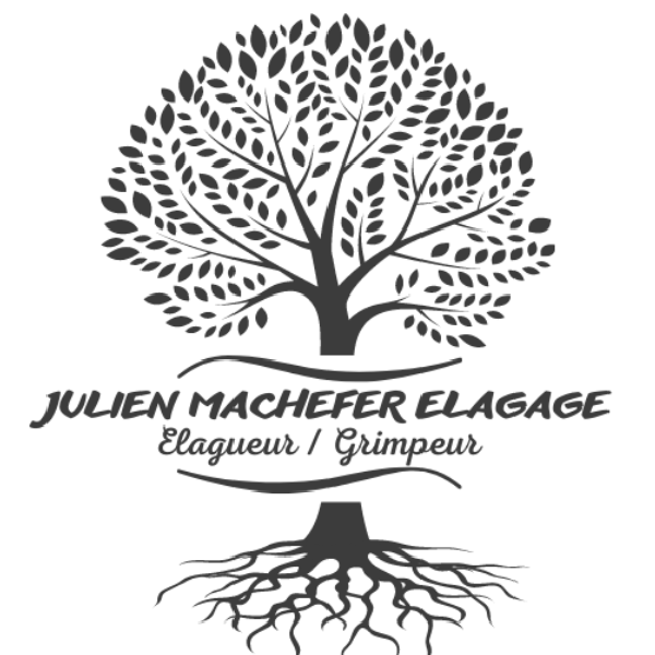 Julien Machefer Elagage EI Expert